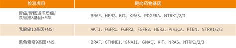 Oncodrug Seq™ 其他常见癌种精准用药基因检测 鼎晶生物 让医疗更有效肿瘤基因检测