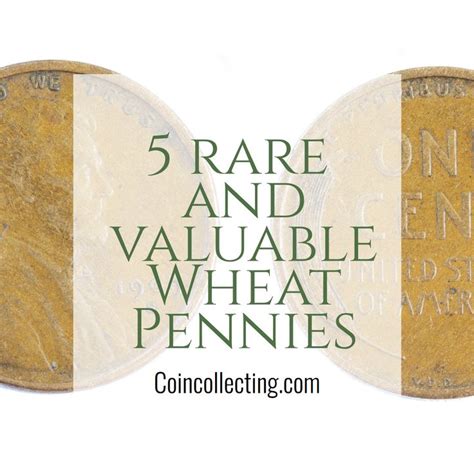 Rare and Valuable Wheat Pennies for Collectors