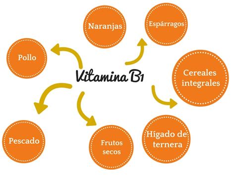 Vitamina B1 O Tiamina