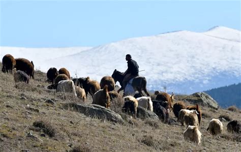 Doğu Anadolu da Soğuk Hava ve Sis Son Dakika