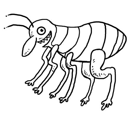 Flea Drawing At Getdrawings Free Download