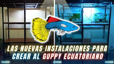 Creando Un Guppy De L Nea Video Proceso Youtube