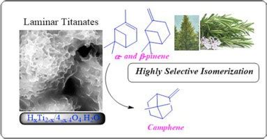 Selective synthesis of camphene from isomerization of α- and β-pinene ...