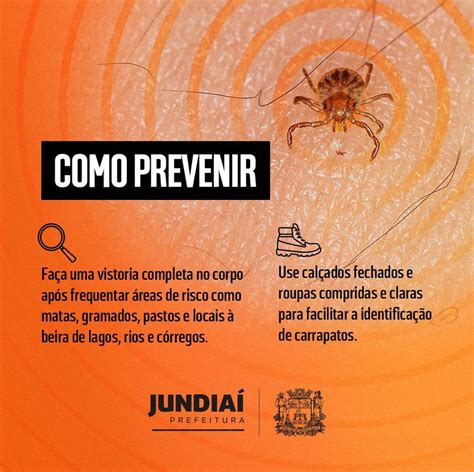 Jundia Segue Orienta Es Para Prevenir A Febre Maculosa Not Cias