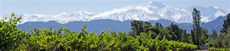 Best Wineries In Mendoza Argentina