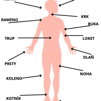 Materiál Lidské tělo