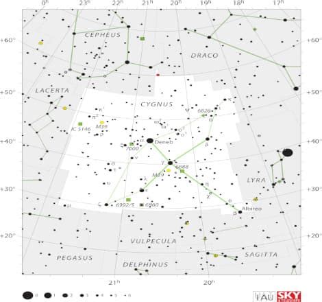 The Cygnus Constellation: The Swan in the Sky