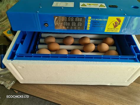 Intelligent Control Chicken Egg Incubator Farmhatch Incubators