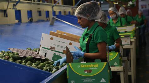 Sector Exportador Se Beneficia Por El Agro Y El Dólar El Financiero