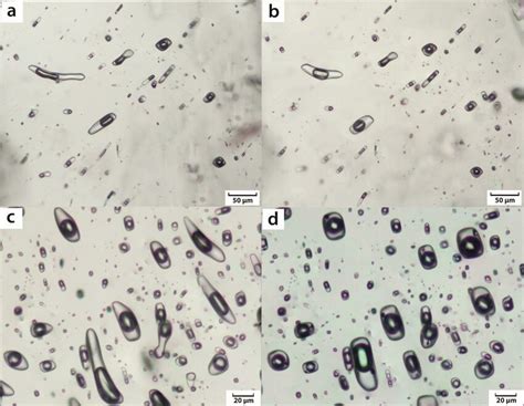 1 Transmitted Light Photomicrographs Of Fluid Inclusions Before And