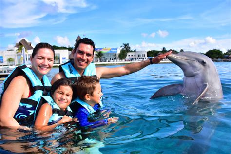 Introducir 70 Imagen Dolphin Experience Cozumel Abzlocal Mx