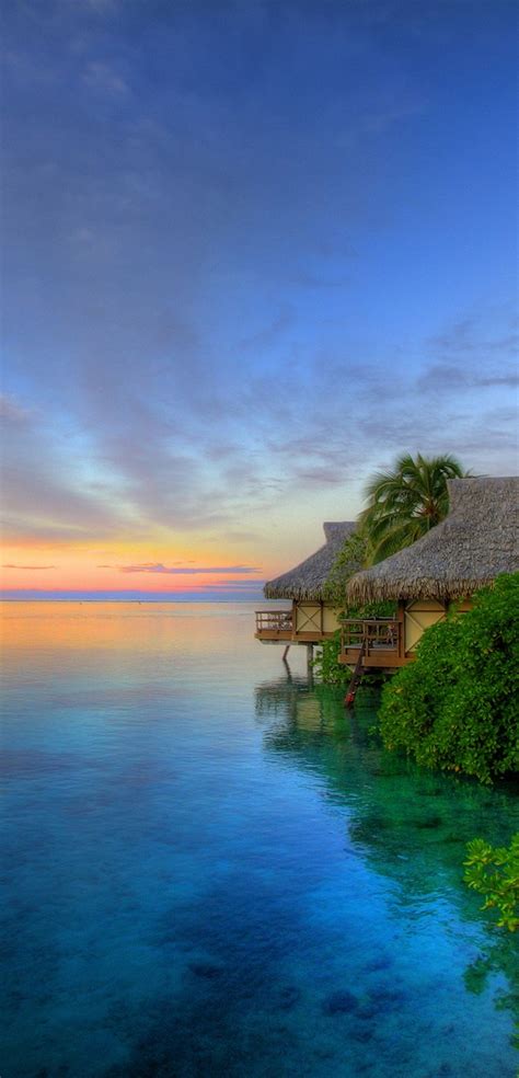 Island Sunset - [1080x2244]