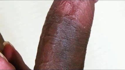 Free Shemale Slideshow Porn Videos XHamster