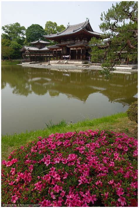 Byōdō in 平等院