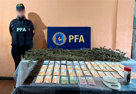 La Pfa Desarticuló Una Banda Narcocriminal Y Desarmó 4 Búnkers En