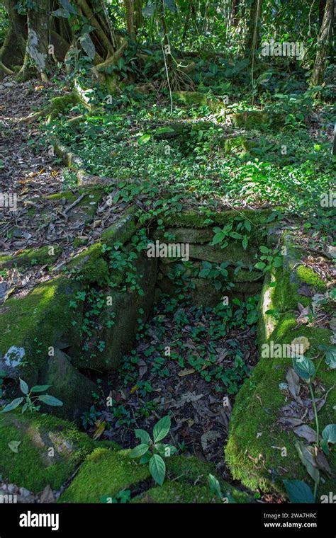 Prehispanico Precolombino Fotos Und Bildmaterial In Hoher Aufl Sung