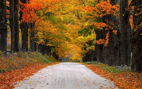 Fall Road Wallpapers - Top Free Fall Road Backgrounds - WallpaperAccess