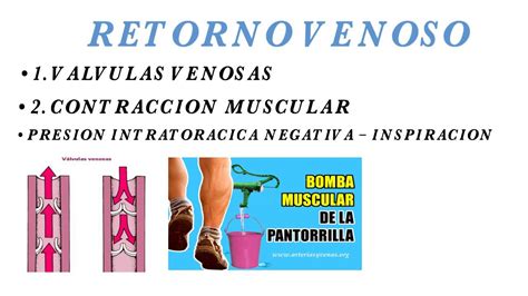 Fisiologia Del Retorno Venoso