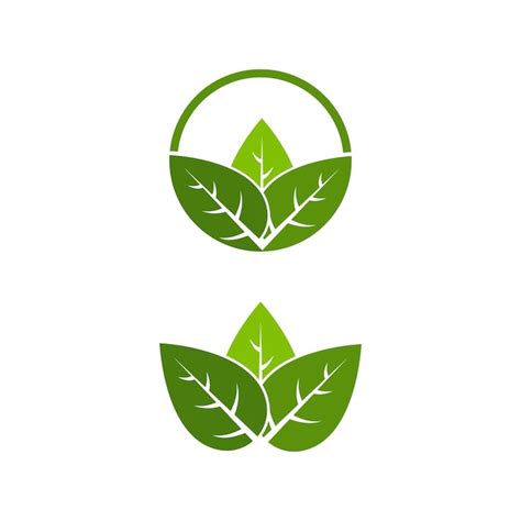 Logos de ecologia da folha verde da árvore Vetor Premium