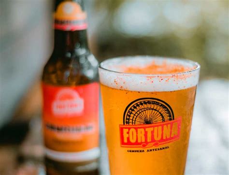 Cervezas Frutales Mexicanas Sourindo Fortuna 2