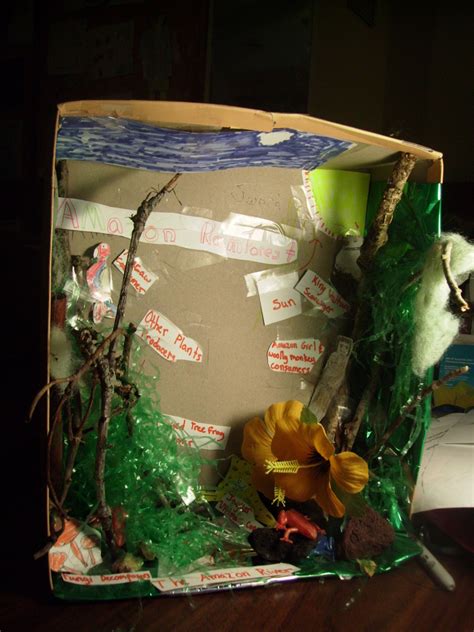 Tropical Rainforest Diorama Shoebox