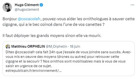 Une cigogne a le bec coincé dans une canette de coca la LPO demande à