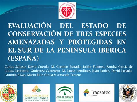 PDF EVALUACIÓN DEL ESTADO DE CONSERVACIÓN DE TRES congreso