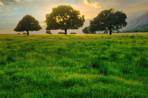 3 000 Free Tallgrass Prairie Prairie Images Pixabay