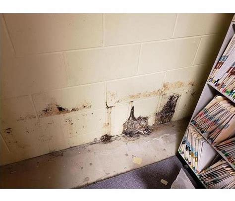 Servpro Mold Remediation Before And After Photo