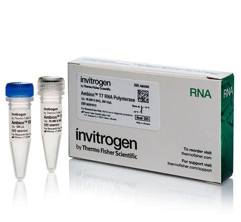 Invitrogen ARN polimerasa Ambion T7 clonada 200 U µl Almacenar a