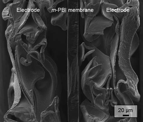 Cross Sectional Sem Micrograph Of The Membrane Electrode Assembly Based