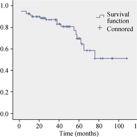 Kaplan Meier Analysis Of The Patients Download Scientific Diagram