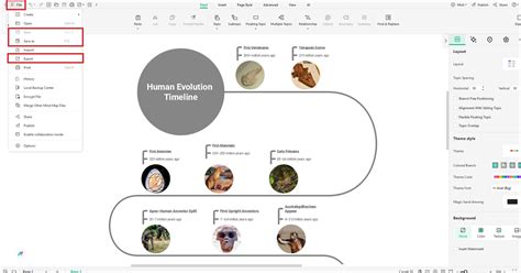 complete human evolution timeline explained