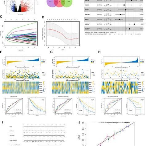 Construction And Verification Of The Prognostic Risk Model The