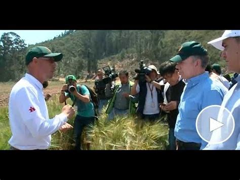 La Compa A Bavaria Empezar A Comprar La Materia Prima A Campesinos