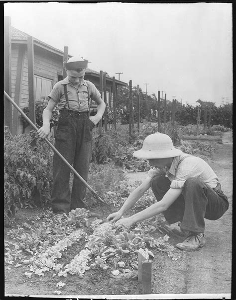 Victory Gardens | The Canadian Encyclopedia