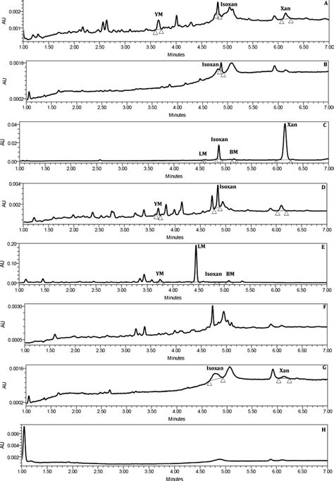 Uhplc Pda Chromatograms Of Ethyl Acetate Extracts Of A G Cambogia