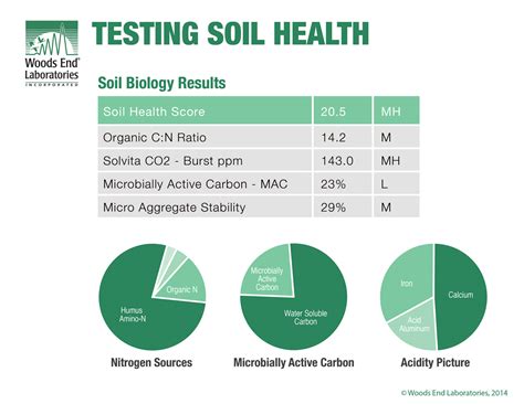 Testing Soil Health Talk Africa