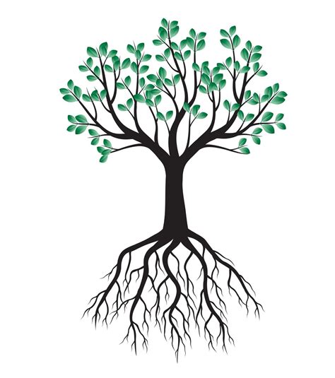 Green Spring Tree With Roots Vector Illustration Vector Art