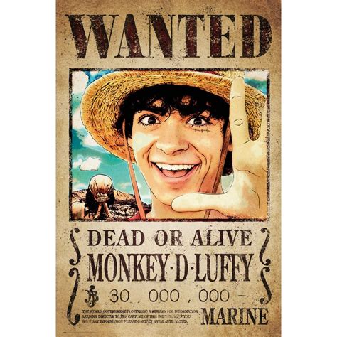 One Piece Poster Wanted Monkey D Luffy Poster Gro Format Jetzt Im