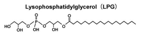 Phosphatidylglycerol Structure