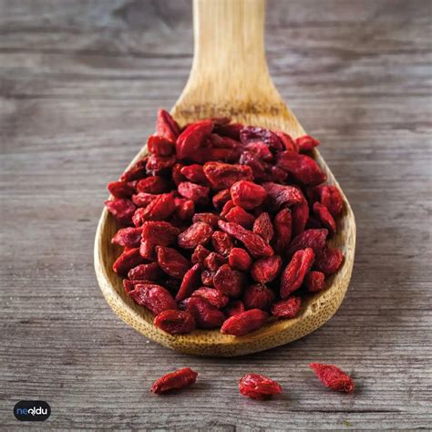 Goji Berry Kurt Üzümü Nedir Sağlığa 10 Mucizevi Faydası