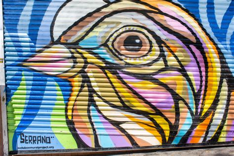 Baird's Sparrow by Ralph Serrano | Audubon