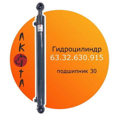 Гидроцилиндр ГЦ 63.32.630.915 шс 30 AKITA - Akita арт. ГЦ 63.32.630.915 ...