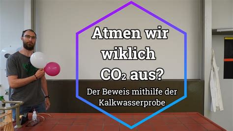 Atmen Wir Wirklich Kohlenstoffdioxid CO2 Aus YouTube