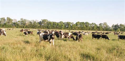 Its That Time Of Year Again Springtime Grazing Reminders