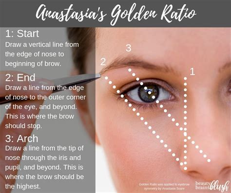 Ultimate Guide To Brows Beautybrainsblush