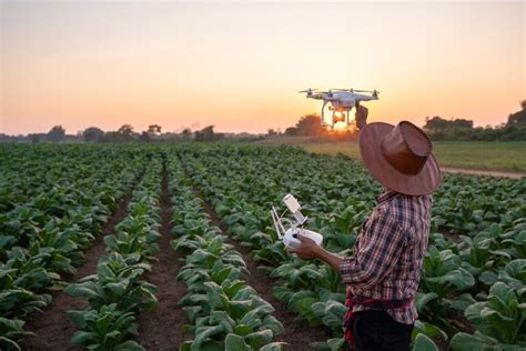 IICA La ciencia y la innovación serán cruciales para el futuro de los