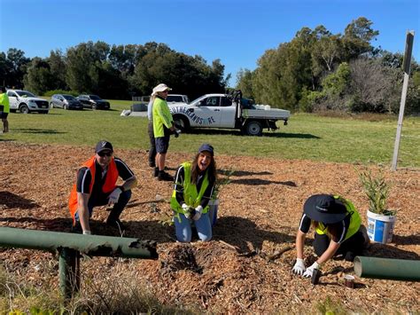 Green Fleet Tree Planting Event Modus Projects