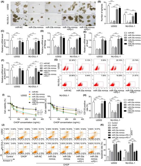 Overexpression Of Mir A B Inhibited The Stemness Of Dlbcl Cells And